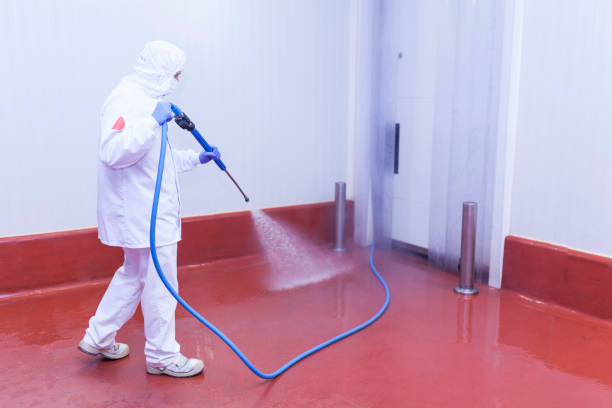 Reliable Ashland, NJ Pressure Washing Services Solutions